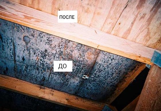 Уничтожение плесени