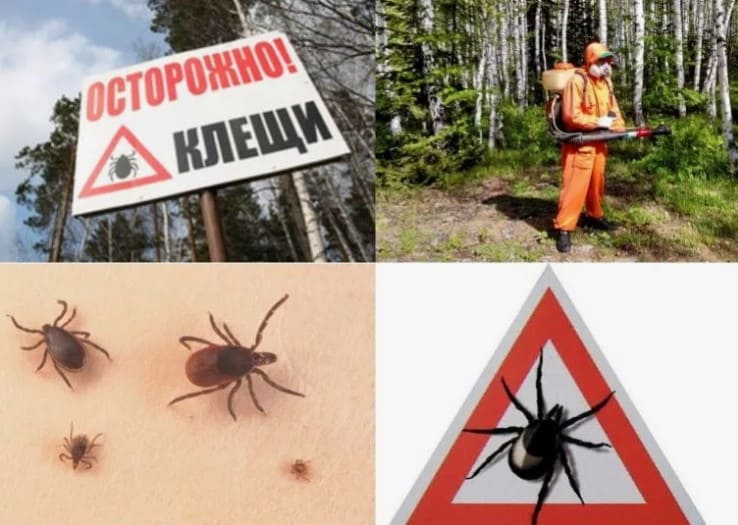 Уничтожение клеща