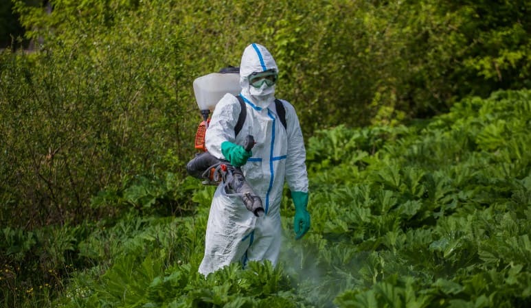 Гербицидная обработка